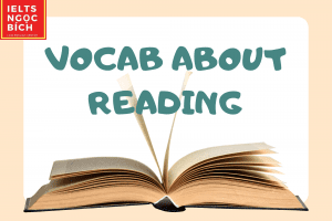 30 TỪ VỰNG IELTS READING